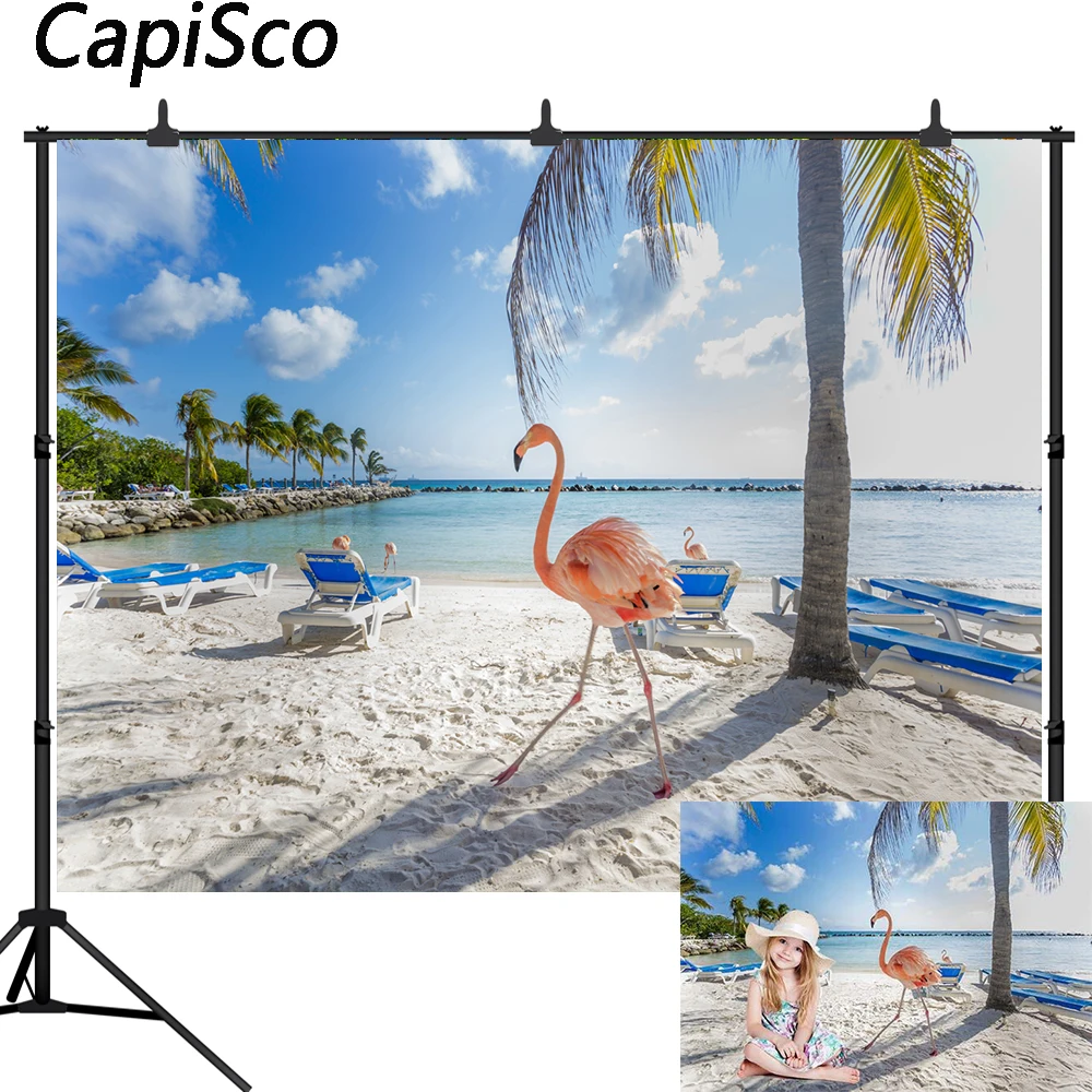 Capisco-خلفية فينيل لاستوديو الصور ، فلامنغو ، شاطئ ، سماء بحرية ، سحابة ، خلفية طبيعية ، التقاط الصور ، تصوير احترافي