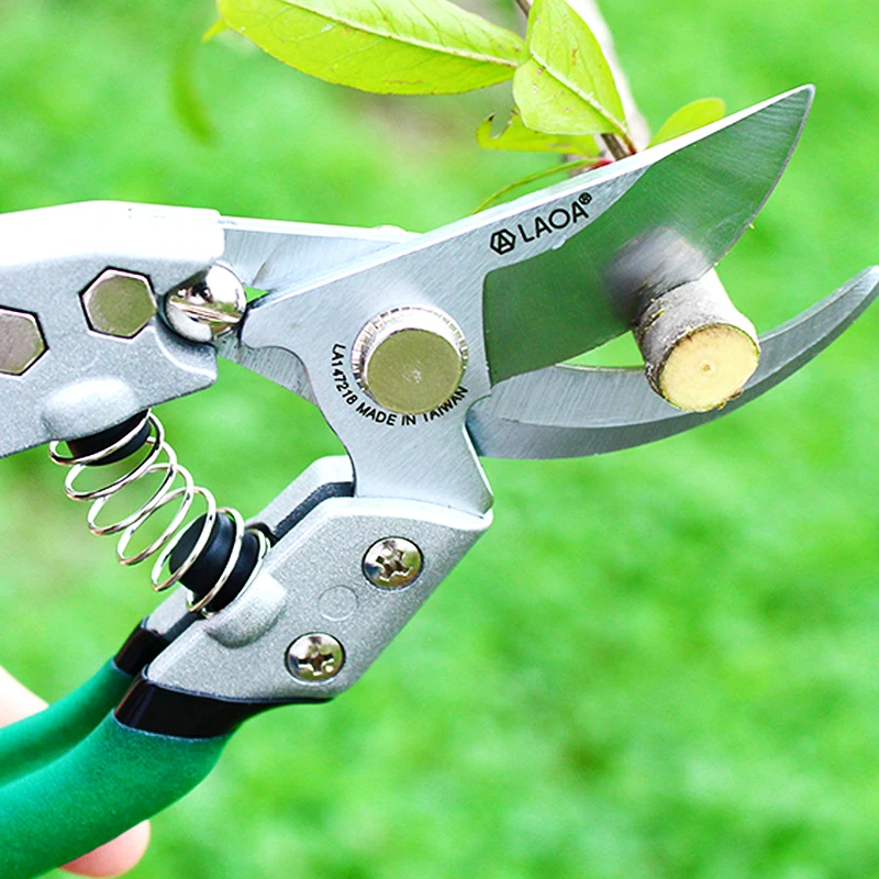 

LAOA SK5 Garden Pruner Shears Orchid Plant Branch Trim Horticulture Pruner Cutting Shrub Shearing Tool Bonsai Floral Secateur