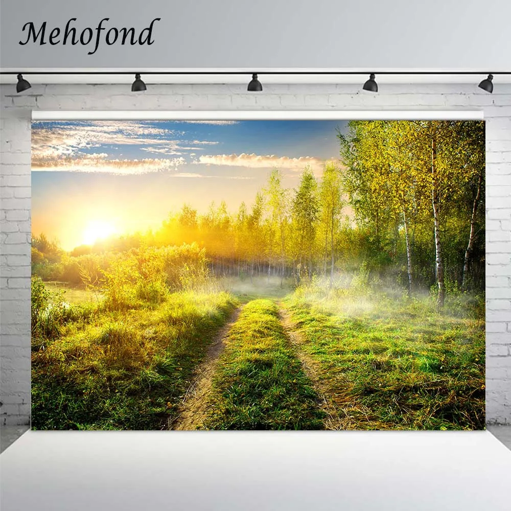 

Mehofond Gold Sunshine Rural Field Photo Backdrops Spring Green Forest Grass Baby Wedding Portrait Decor Photography Background