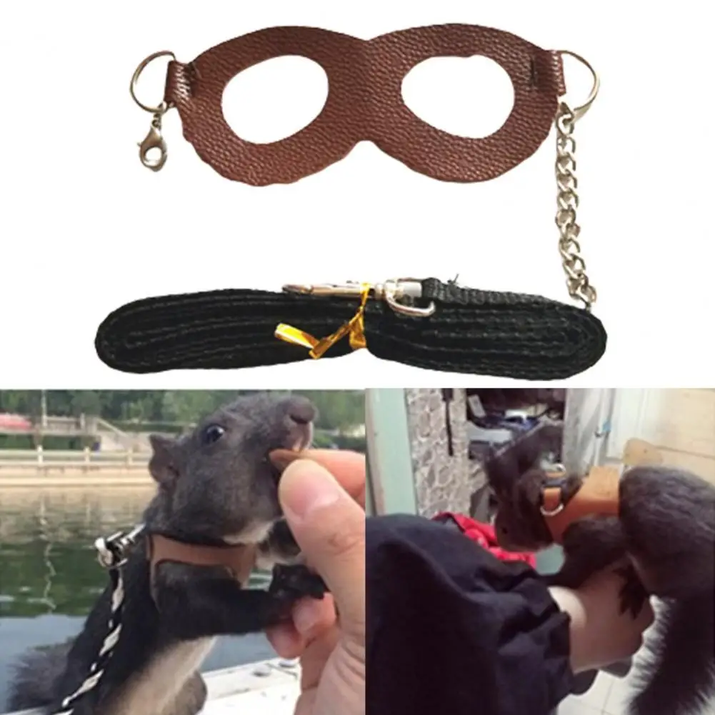 Squirrel Harness Anti-knot Anti-biting Faux Leather Dog Pet Puppy Cat Leash Chest Strap Walking Collars Accessories Supplies