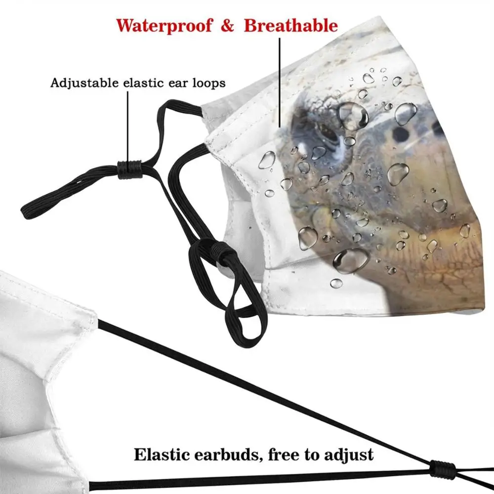 Tortoise. Mask Cloth Reusable Print Filter Washable Tortoise Old Shell Reptile Galapagos