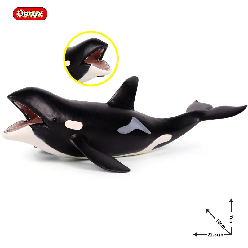 Oenux-Figurines d'action d'animaux sauvages pour enfants, Megalodon, Beluga, Big Shlavabo, Orca, Sperm, Blue Whale, Sea Life Model, Toy