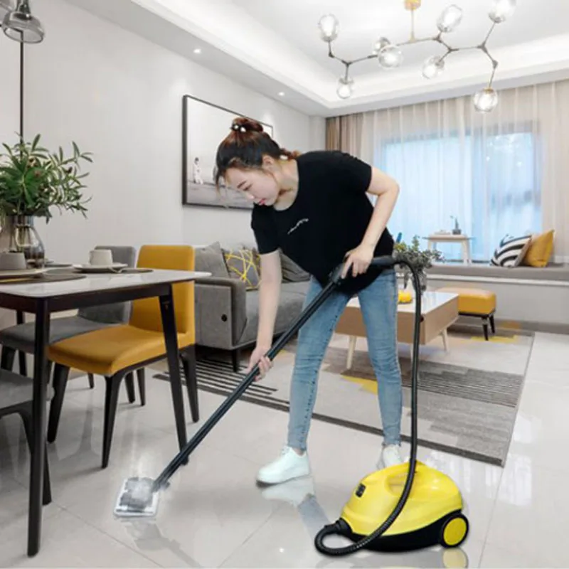 Steam Cleaner Steam Mop Sanitizing Machine High Temperature High Pressure Home Range Hood Air Conditioning Car Washer