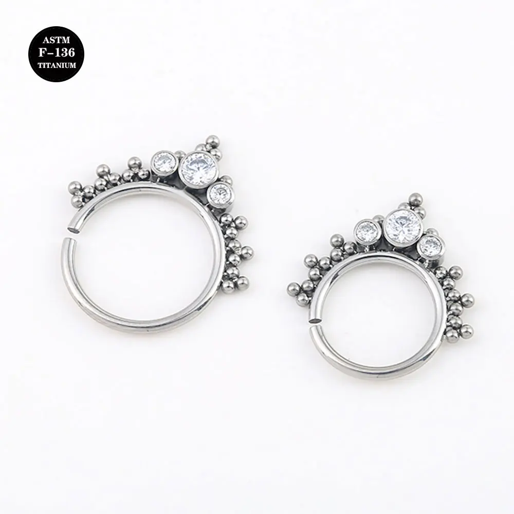 16G Implant Grade Titanium ASTM F136 Septum Piercing Twist Hinged Segment Nose Ring Cubic Zircon Hoop Jewelry