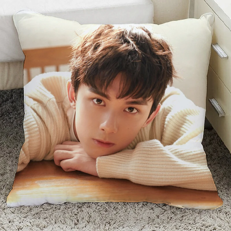 The Long Ballad Birthday Gift High Quality Dilireba Wulei Star pillow