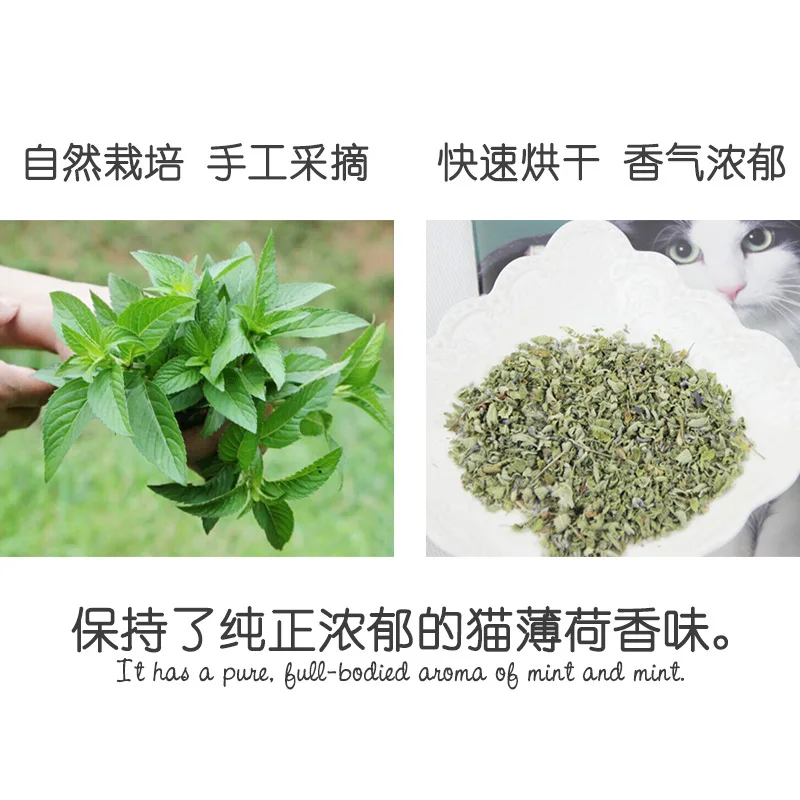 Pet Supplies Menthol Flavor Funny Cat Toys New Organic 100% Natural Premium Catnip Cattle Grass Pet Products