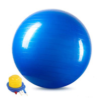 PVC Fitness Balls Yoga Ball Thickened Explosion-proof Exercise Home Gym Pilates Equipment Balance Ball 45cm/55cm/65cm/75cm