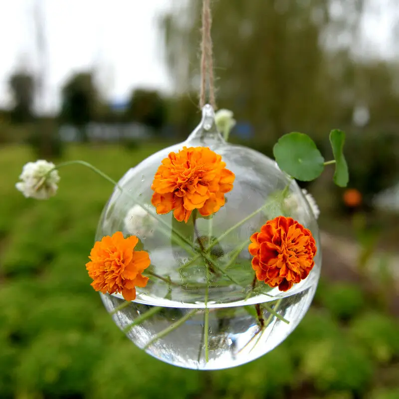 Terrarium Ball Globe Shape Clear Hanging Glass Vase Flower Plants Container Ornament Micro Landscape DIY Wedding Home Decor