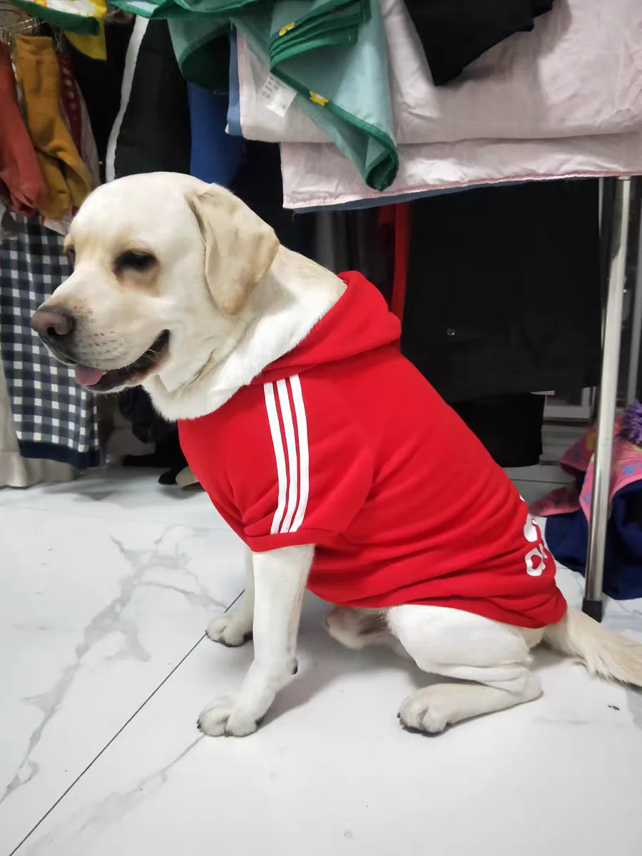 XS-9XL Adidog Haustier Hund Kleidung für Kleine Medium Big Große Hunde Baumwolle Mit Kapuze Sweatshirt Heißer Verkauf Warme Zwei-Legged haustiere