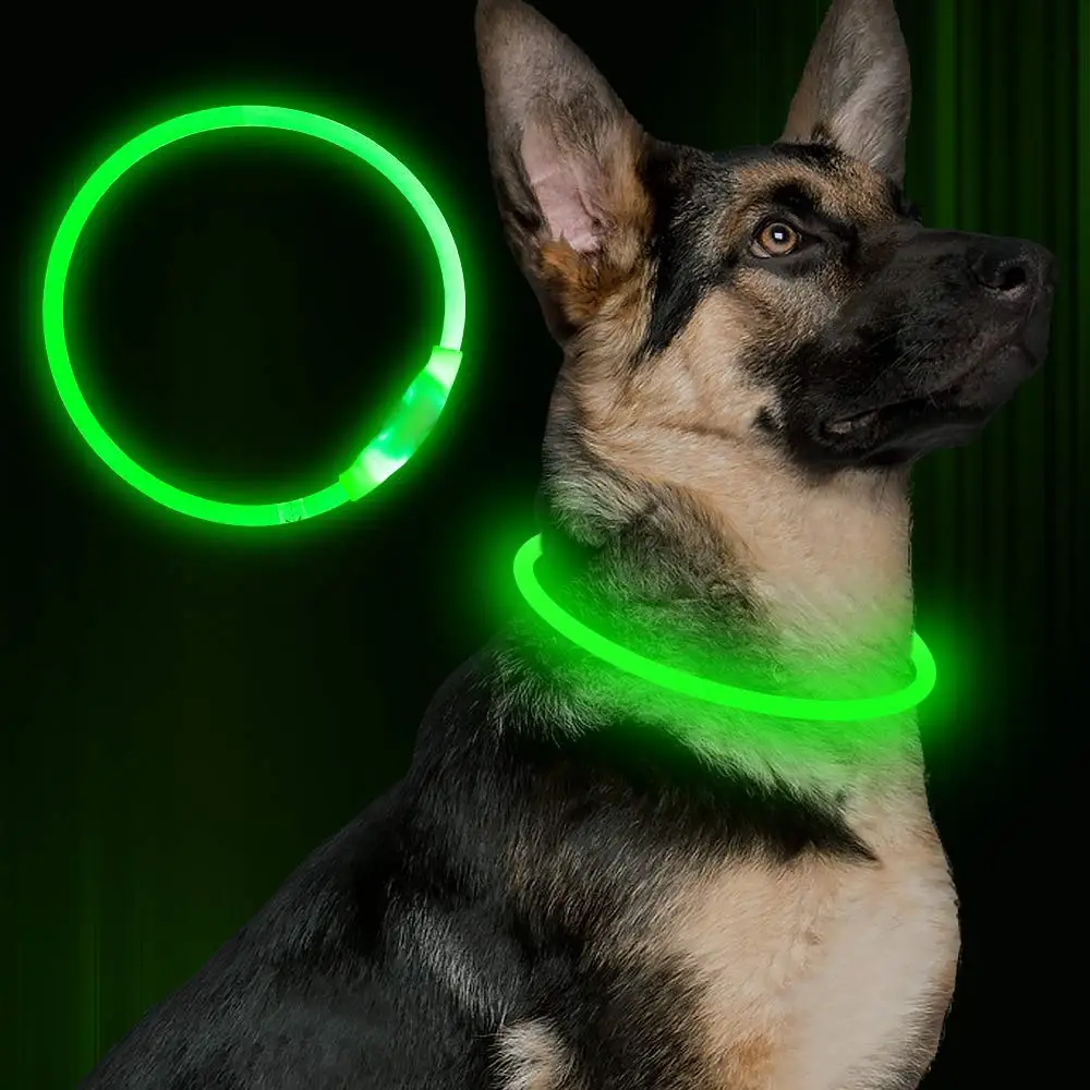 Pet Flashing Collar USB Rechargeable Glowing Necklace Safety Collar Light Up Collars for Night Walking Electric Dog Collar Neon