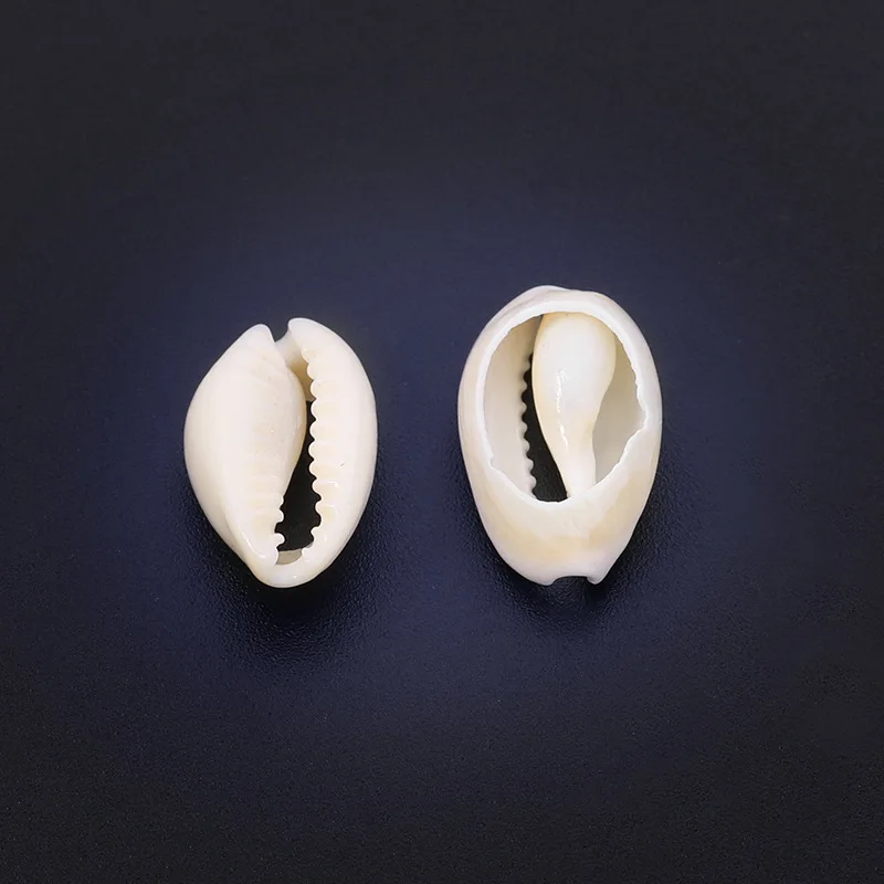 30pcs/lot Sea Cowrie Shell Beads 9*13/17*23mm Loose Abalone Shell Beads Bracelet Necklace Supplies For Jewelry Making Findings