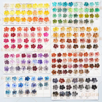 Amerikan Daniel Smith suluboya boya bölünmüş mavi//kahverengi/yeşil/toprak 0.5ml 1ml acuarelas boyama okul malzemeleri sanat malzemeleri