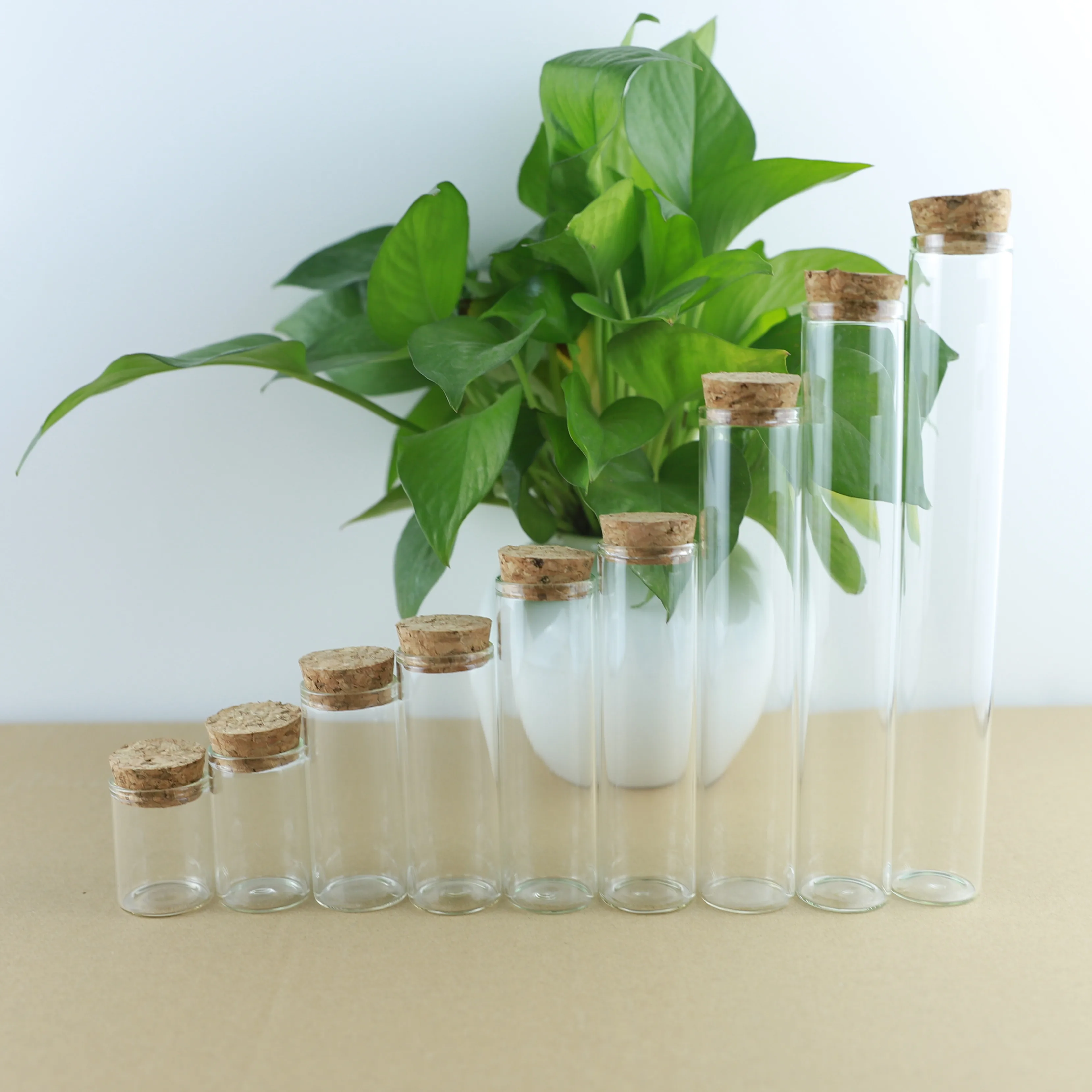 24 Pcs 12ml/15ml/25ml/30ml/35ml/40ml/45ml/50ml/55ml/60ml/80ml Small Glass Bottles with Cork Stopper Test Tube  Glass Jars Vials