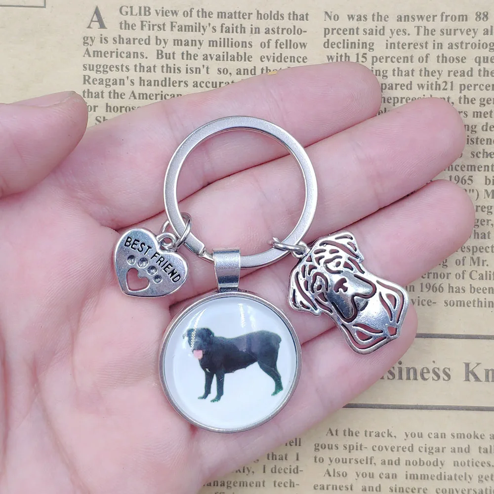Bull Boston Terrier Cane Corso Labrador Retriever Keychain Time Gem Dog Animal Pet Key Ring Men Women Birthday Party Gift