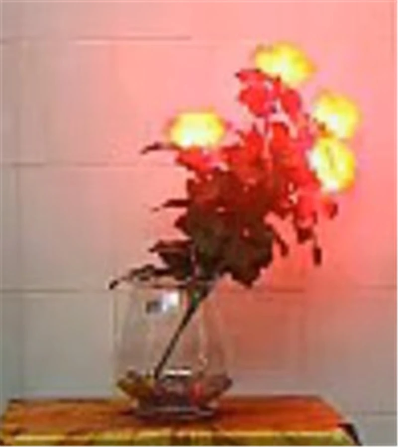 Lighting rose Remote Control (4 flowers) - Magic trick,flower magic,close up magic,stage,magic for lover,romantic