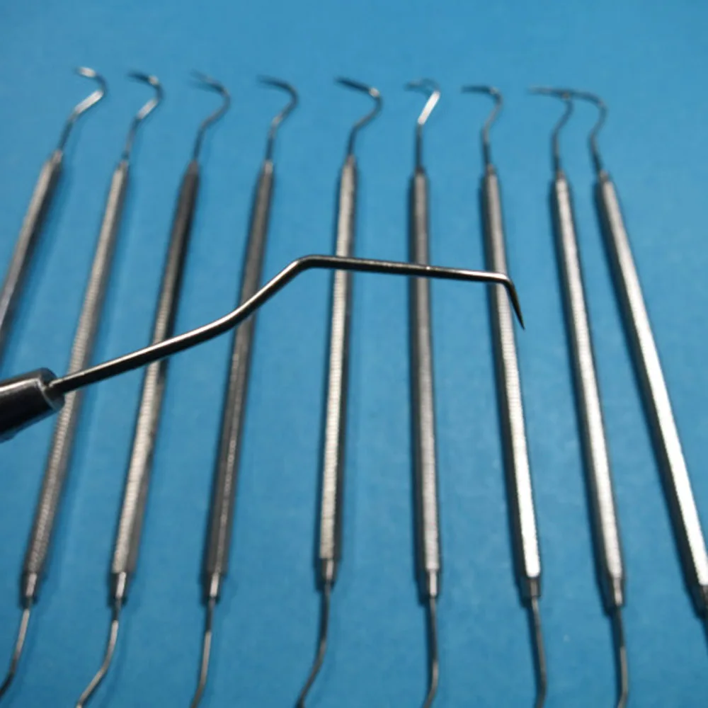 

10pcs dental stainless steel probe oral examination apparatus