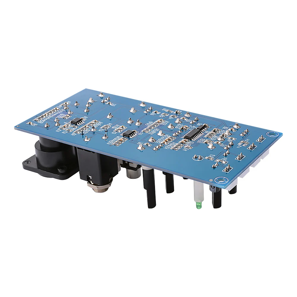 AIYIMA Mikrofon Reverb Vorverstärker Bord 2 Straße EQ Ton Ausgleich Mit Aux DIY Sound Verstärker Heimkino