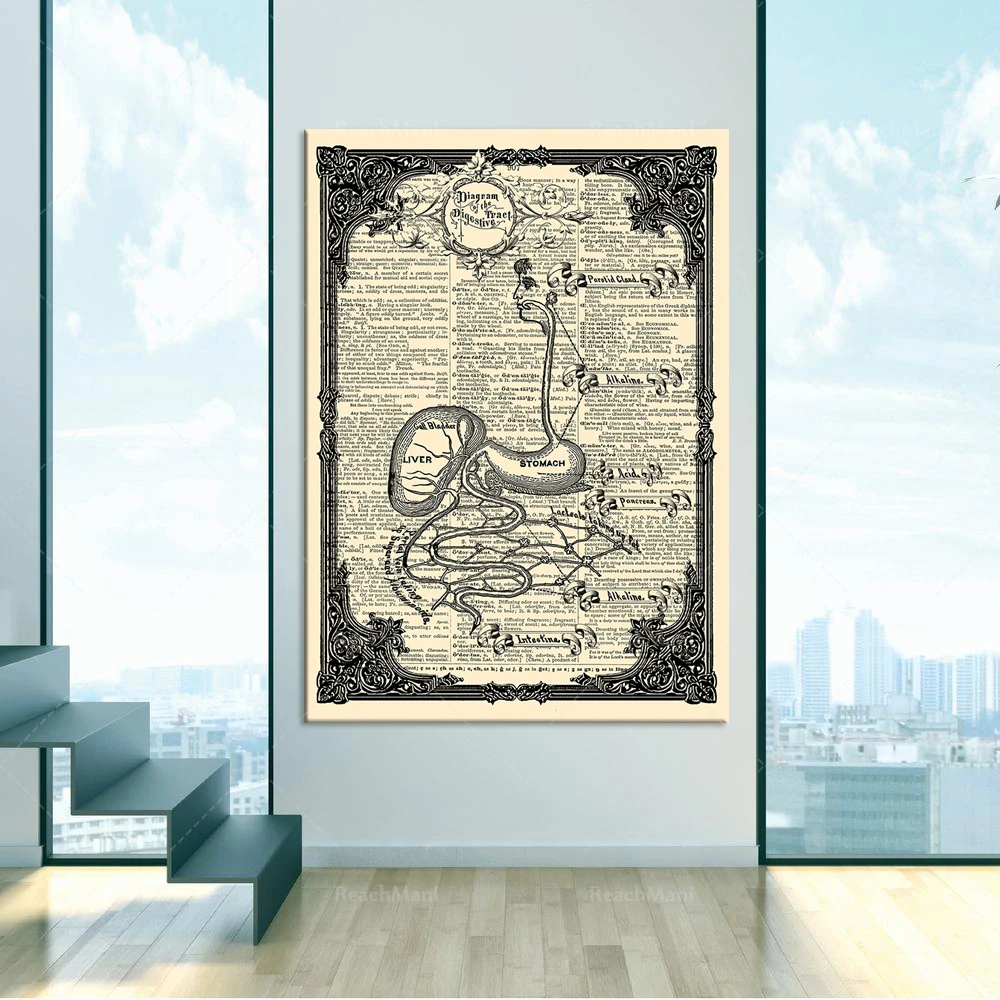 Diagramm du Tube Digestif Système Digestif Kunstdruck Wörterbuch Vintage Seite Livre Anatomie Affiche Wandkunst Geschenk Gothic