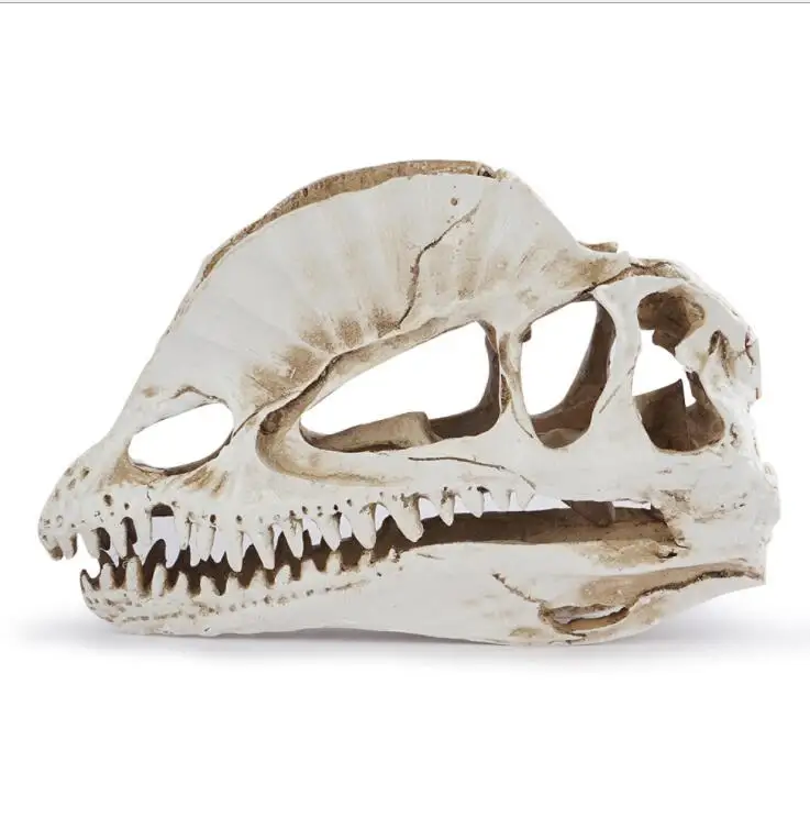 Dilophosaurus Skeleton Model Resin Home Office Halloween Decoration Dinosaurs Skull Mold for Kids Students Gift Study Props