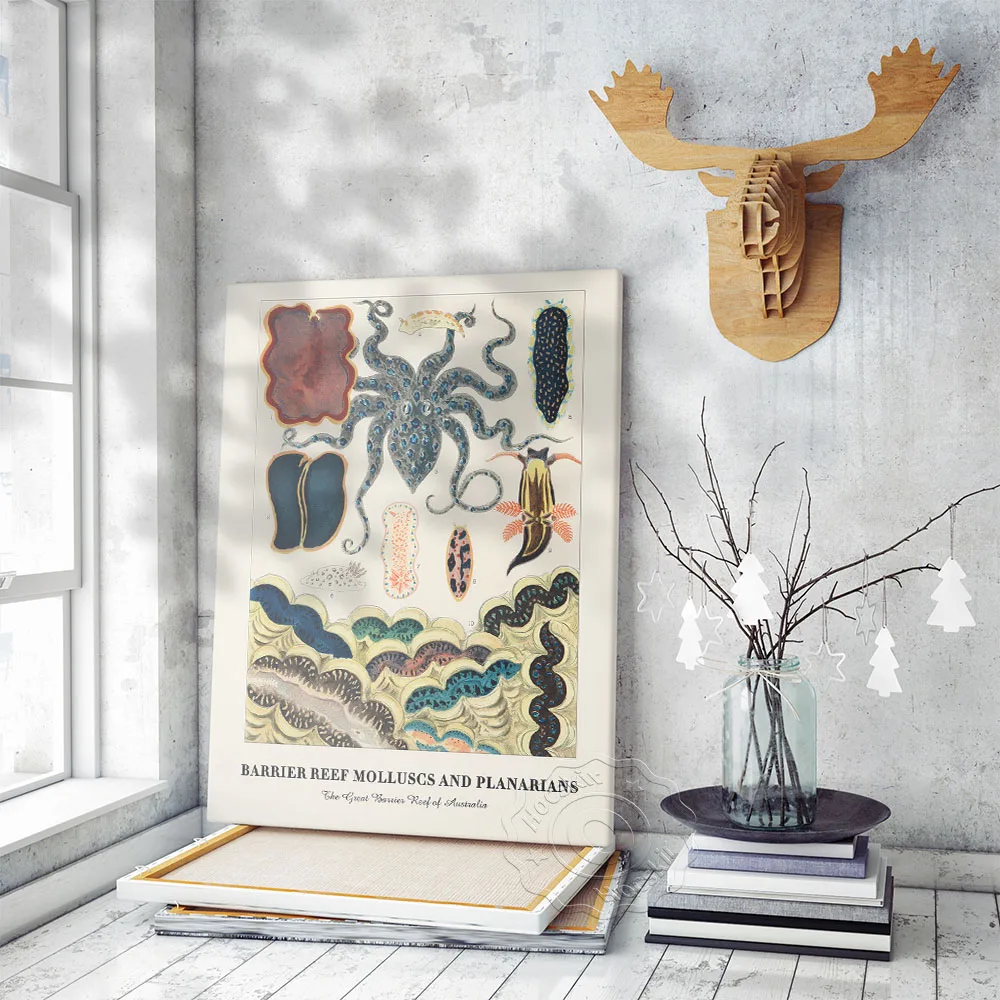 William Saville Kent Exhibition Museum Poster Vintage Art Prints Wall Picture Surrealism Marine Animal Canvas Painting Decor