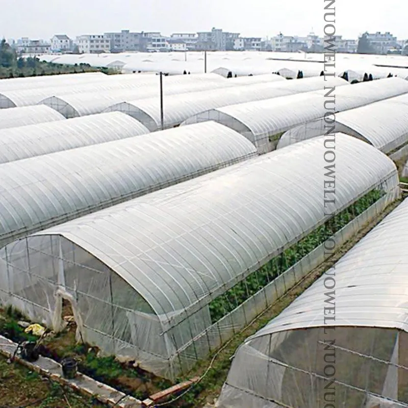 0.04mm 0.06mm rośliny pokrywa PE plastikowa folia ochronna rolnicza folia Greenhous utrzymuj ciepły odcień przeciwdeszczowy Film ogrodowy