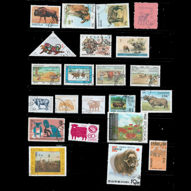 50 PCS All Different Topic Animal OX Unused Postage Stamps With Post Mark For Collection