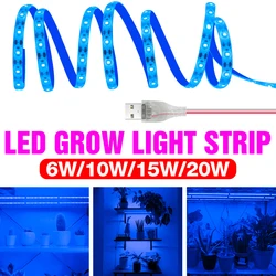 USB Grow Strip Full Spectrum LED Plant Light DC 5V Phyto Lamp 0.5M 1M 2M 3M Waterproof Fitolampy LED Vegs Flower Growth Lighting