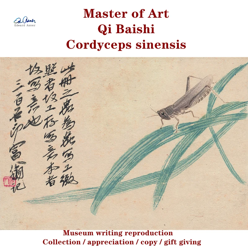 Master of Art  Qi Baishi  Cordyceps sinensis  Boutique  Museum writing reproduction  Collection / appreciation / copy / gift giv