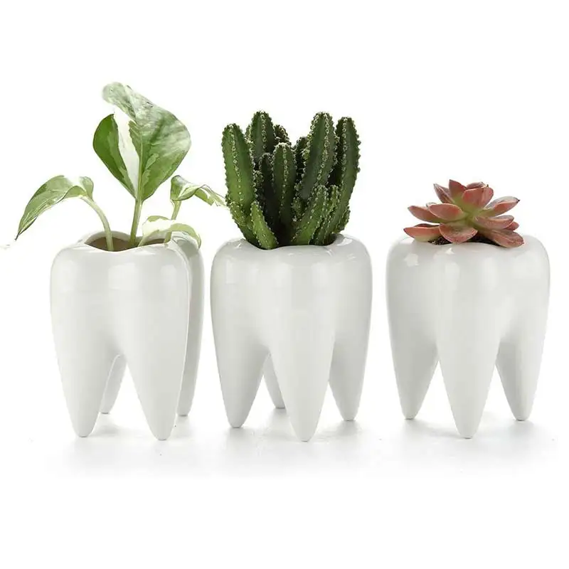 

Creative Tooth Planter Succulent Pots Ceramic Succulent Flower Pot Pencil Holder Office Home Decor Cactus Mini Flower Vase White