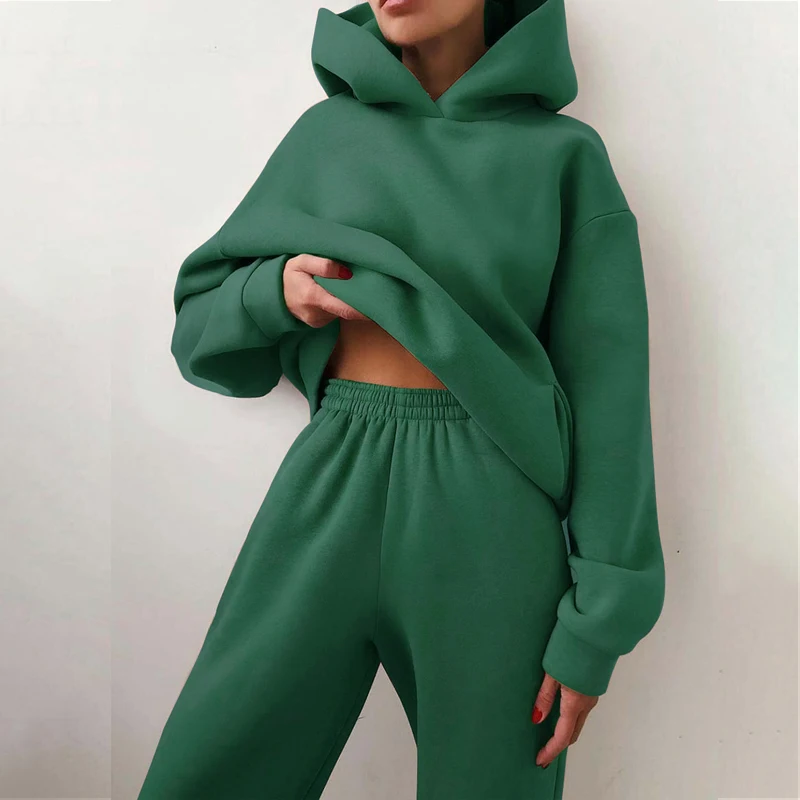 Women Tracksuit Casual Solid Long Sleeve Hooded Sport Suits Autumn Winter Warm Sweatshirts And Jogger Pants Fleece Two Piece Set