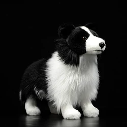 Hot Original Border Collie Dog Mini Dog Kids Stuffed Plush Toys Black Cute Lovely Child Gift Lifelike Animal Doll Poodles Model