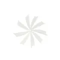 2. white 100pcs