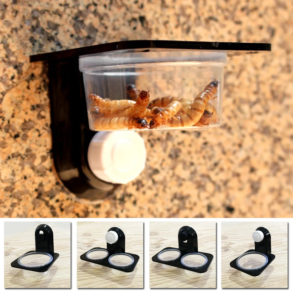 Hot ！1pcs Reptile Tank Insect Spider Ants Nest Snake Gecko Food Water Feeding Bowl Terrarium Breeding Feeders Box Pets Supplies