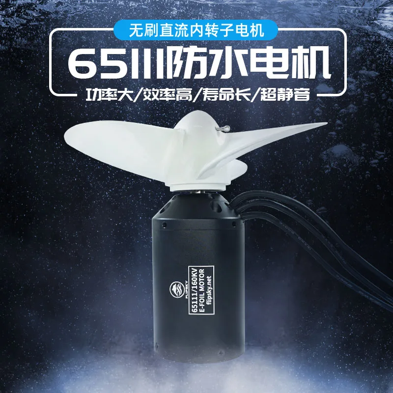 IP68 waterproof within 65111 brushless dc motor rotor power 3000 w propeller surfboard motor