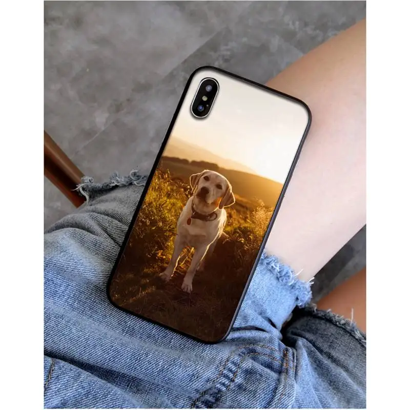 MaiYaCa Anime Labrador Dog Phone Case for iphone 13 11 pro XS MAX 8 7 6 6S Plus X 5 5S SE XR SE2020