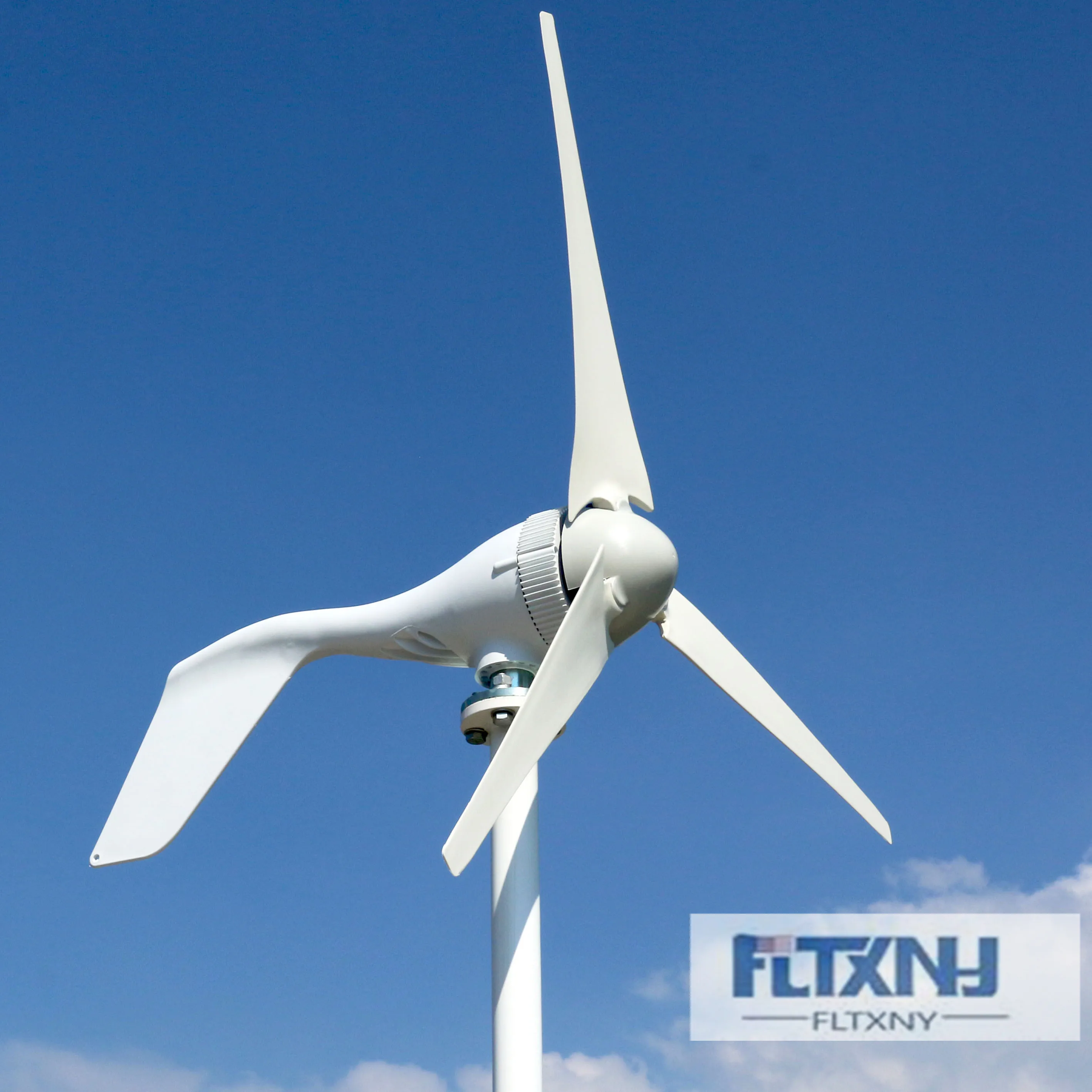 FLTXNY POWER 4000W 12V 24V Horizontal Wind Turbine Generator With 12V 24V MPPT Wind Controller