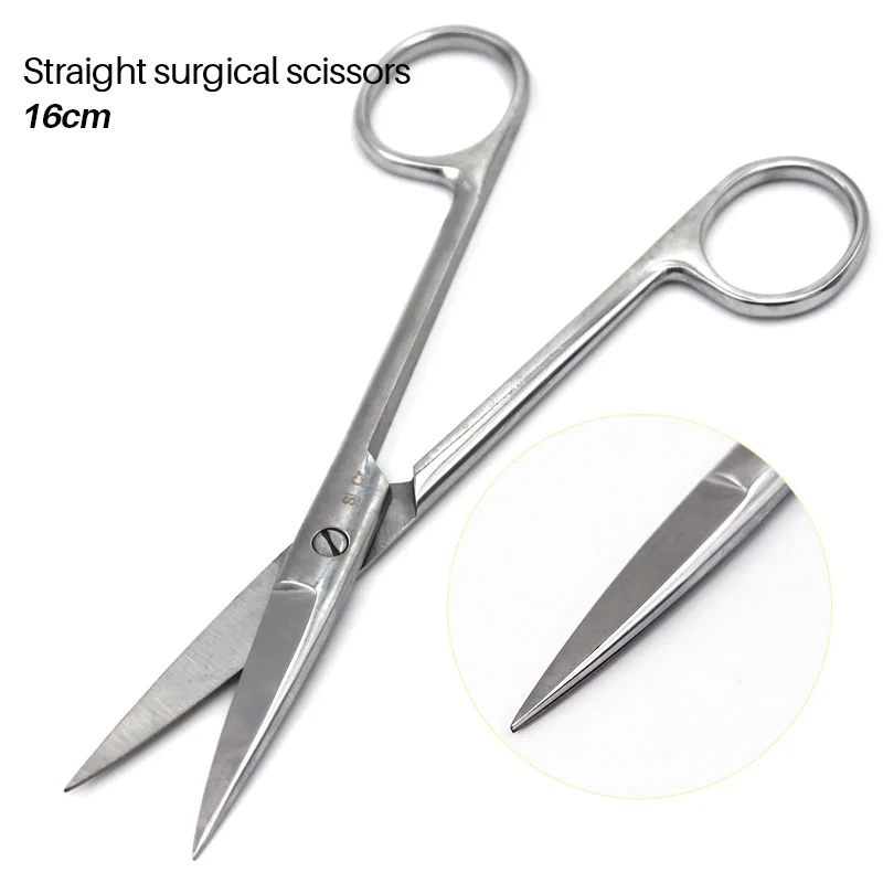 

16cm Dental Surgical Scissors Stainless Steel Straight And Curved Hemostatic Forceps Pet Fishing Forceps Medical Dental Tool