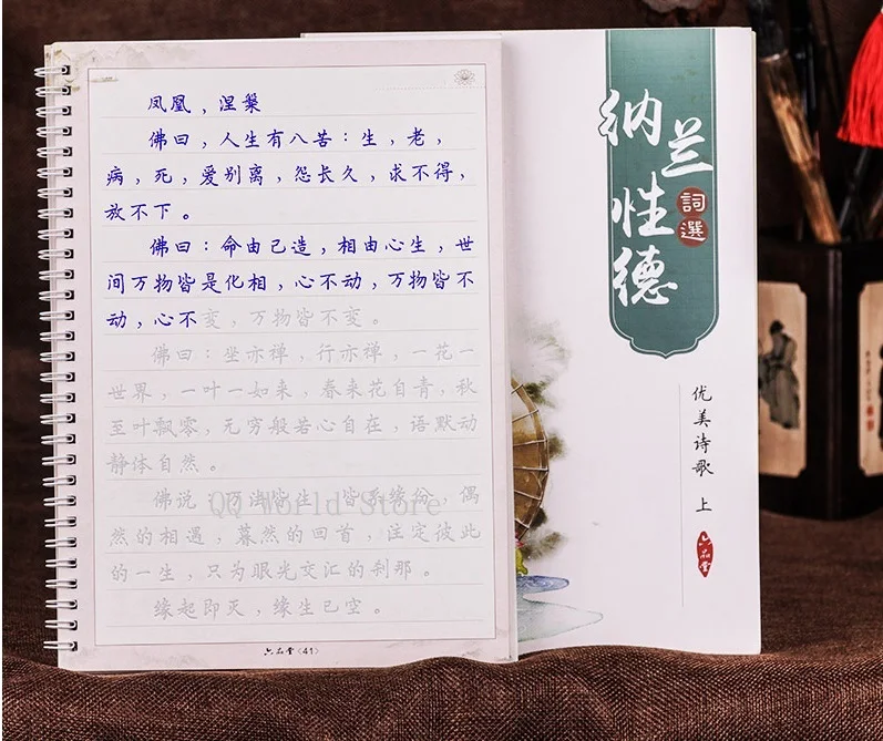 2 Books Chinese Regular Script Adult Love Poetry Calligraphy Auto Dry Repeat Practice Lu Pin Tang 3D Groove Copybook Pen Set