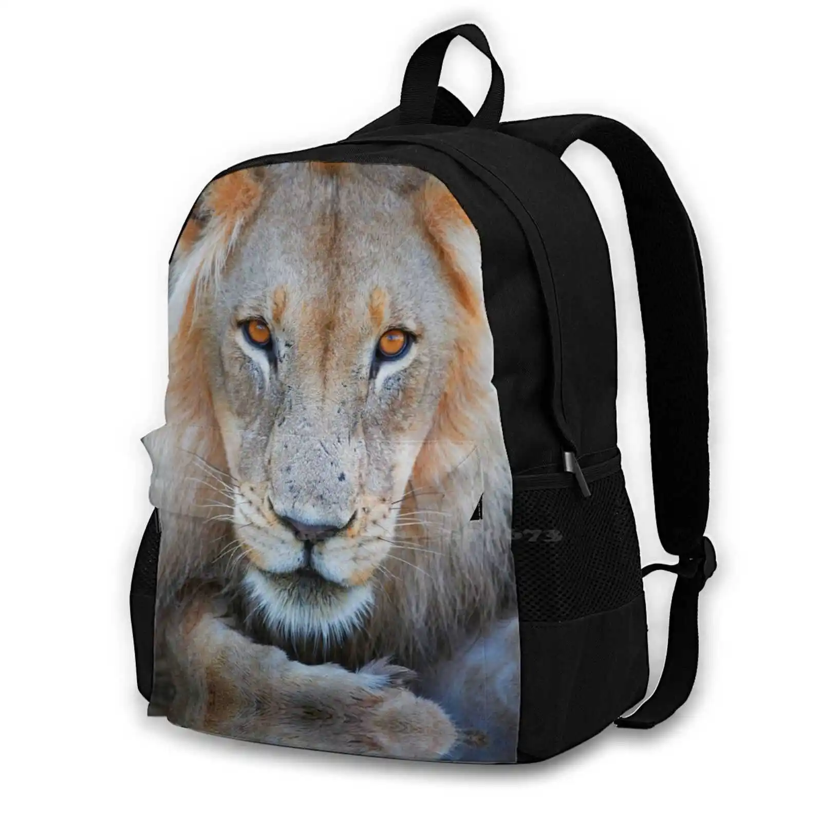 Expressive Looking Male Lion School Bag Big Capacity Backpack Laptop 15 Inch Trip Reisen Travel Journey Tourism Afrika Africa