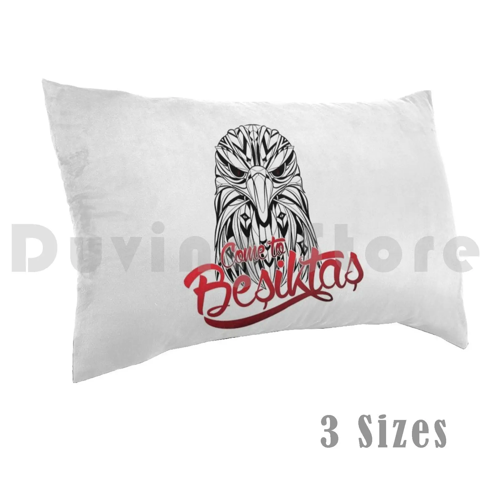 Come To Besiktaspil…