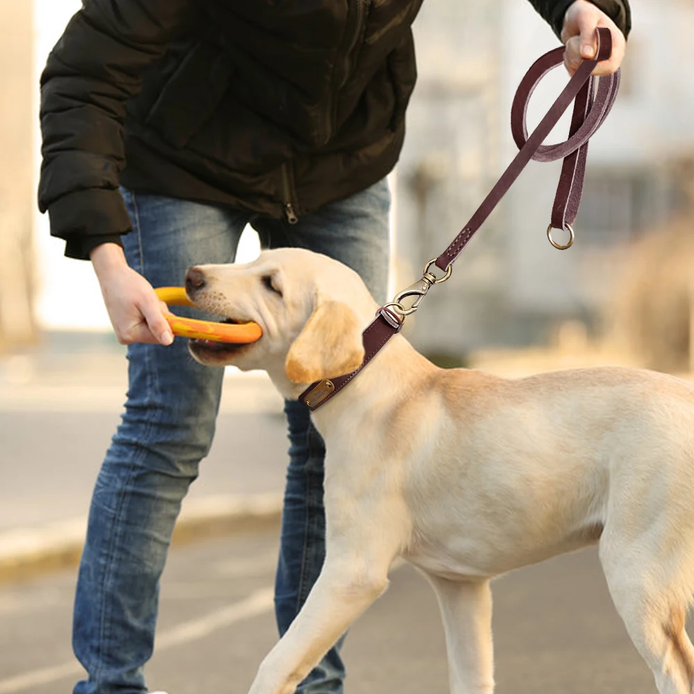 Guinzaglio per collare per cani in pelle personalizzato Set guinzaglio per collare per animali domestici personalizzato targhetta con incisione