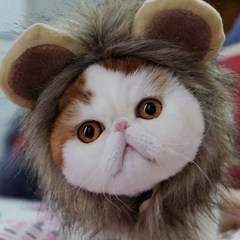 Lion Shaped Cosplay Hat for Cat Black Designer Pet Dog Accessories Winter Christmas Costume Kitten Head Wear Puppy Pet Supplies