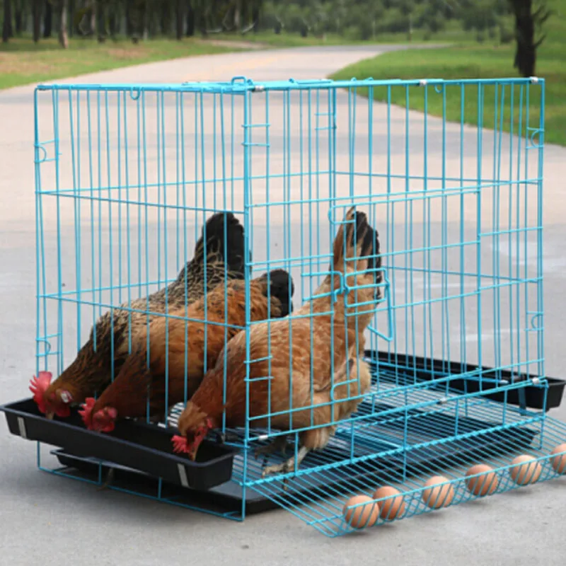 60X42X52cm HEN metal mesh egg hen chicken house cage animals box for Farm Poultry Automatic pick up