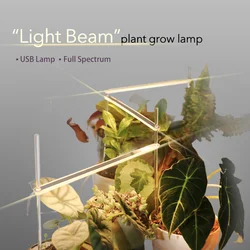 Phytolamp de haz de luz DC5V para plantas, espectro completo, luz de cultivo de sol, enchufe de tierra, luz de relleno de plántulas hidropónicas