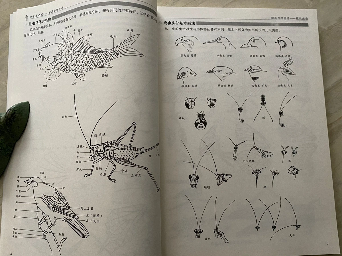 Imagem -03 - Pintura Chinesa Pássaro Flor Peixe Borboleta Inseto Contorno Tatuagem Livro de Referência