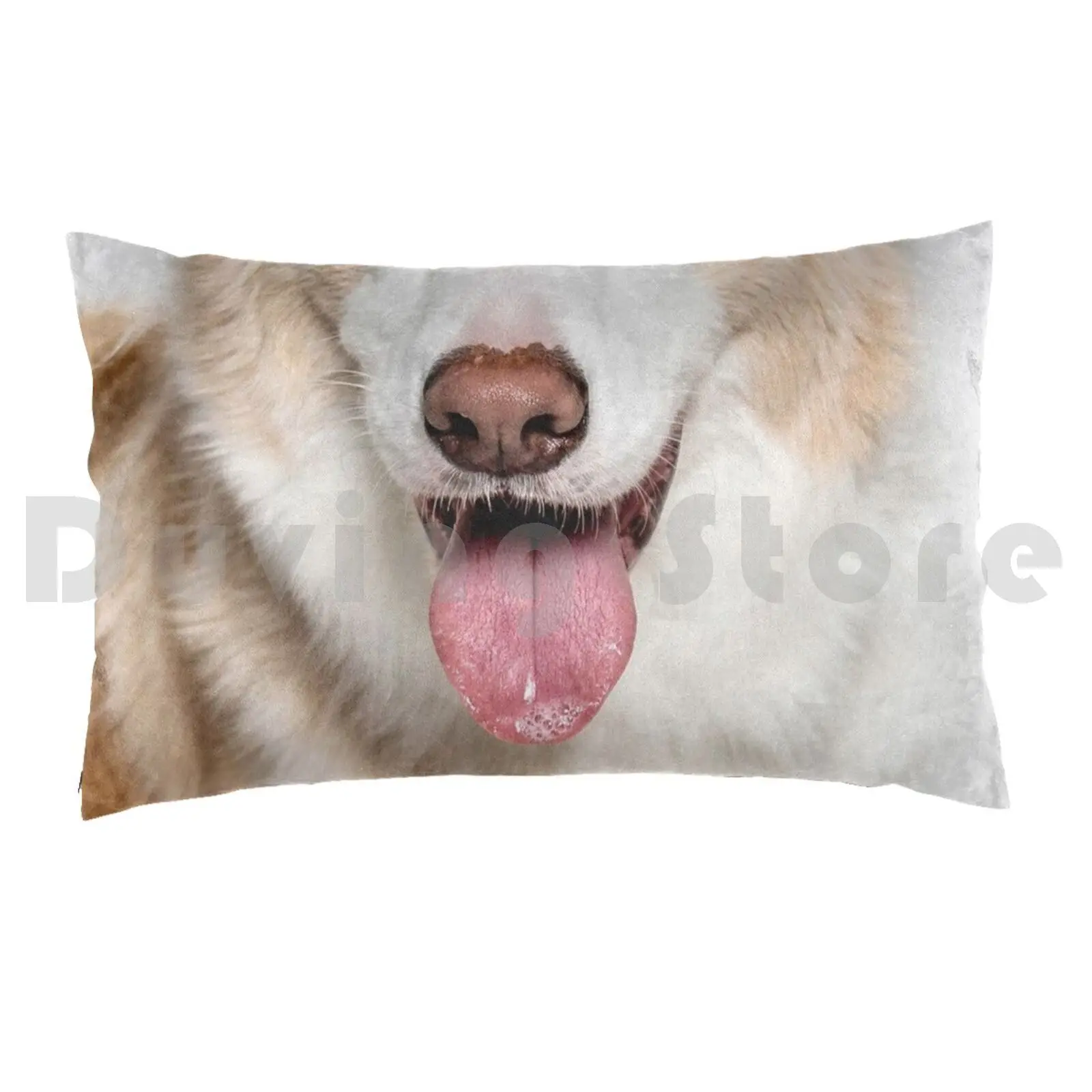 Kenai The Border Collie Pillow Case 20*30 Inch Janine Fabre Dog Pet Border Collie