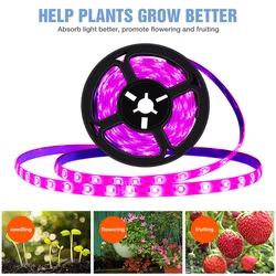 USB Plant Grow Strip 2835 SMD Led Grow Light 0.5m 1m 2m 3m USB Full Spectrum LED Phyto Tape Lighting Waterproof Plant Bulb