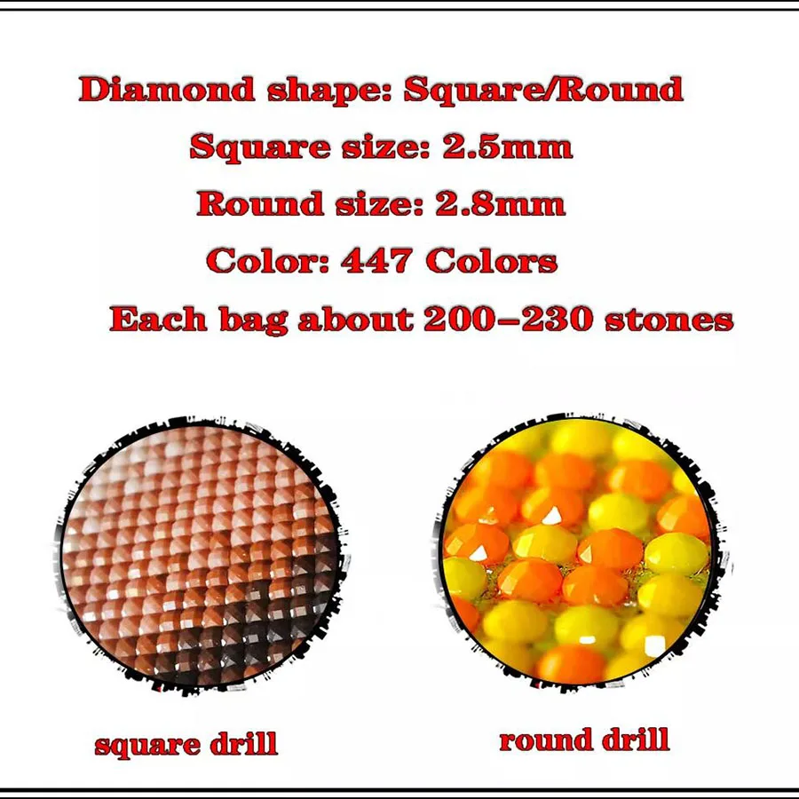 Full Square/Round 5D pittura diamante fai-da-te \