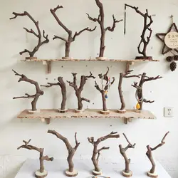 Log Tree Branches with Bottom Bracket Hodler Handmade Solid Wood Jewelry Holder Bookcase Living Room Coffee Table Ornaments