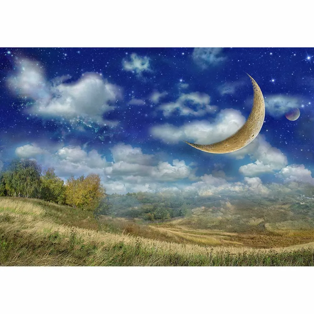 Allenjoy background for photography Summer grassland moon starry sky landscape Child imagination photozone decor backdrop prop